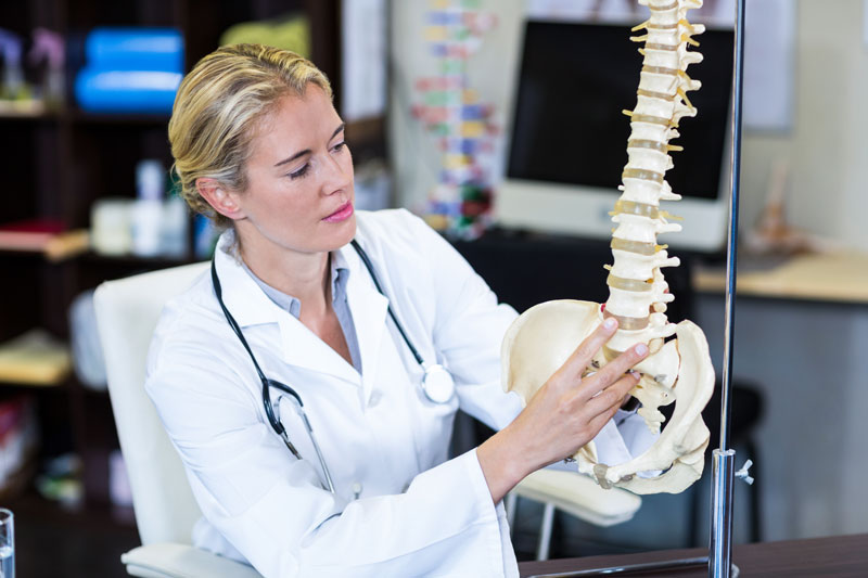 Doctor looking at the epidural section of the spine using a model